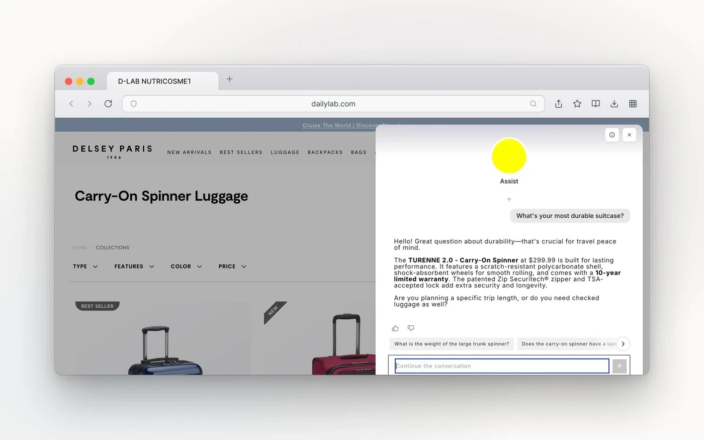 Delsey.com AI shopping assistant